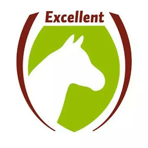 Logo Excellent Horse